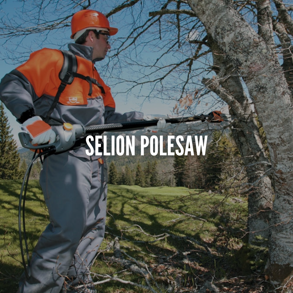Selion Polesaw