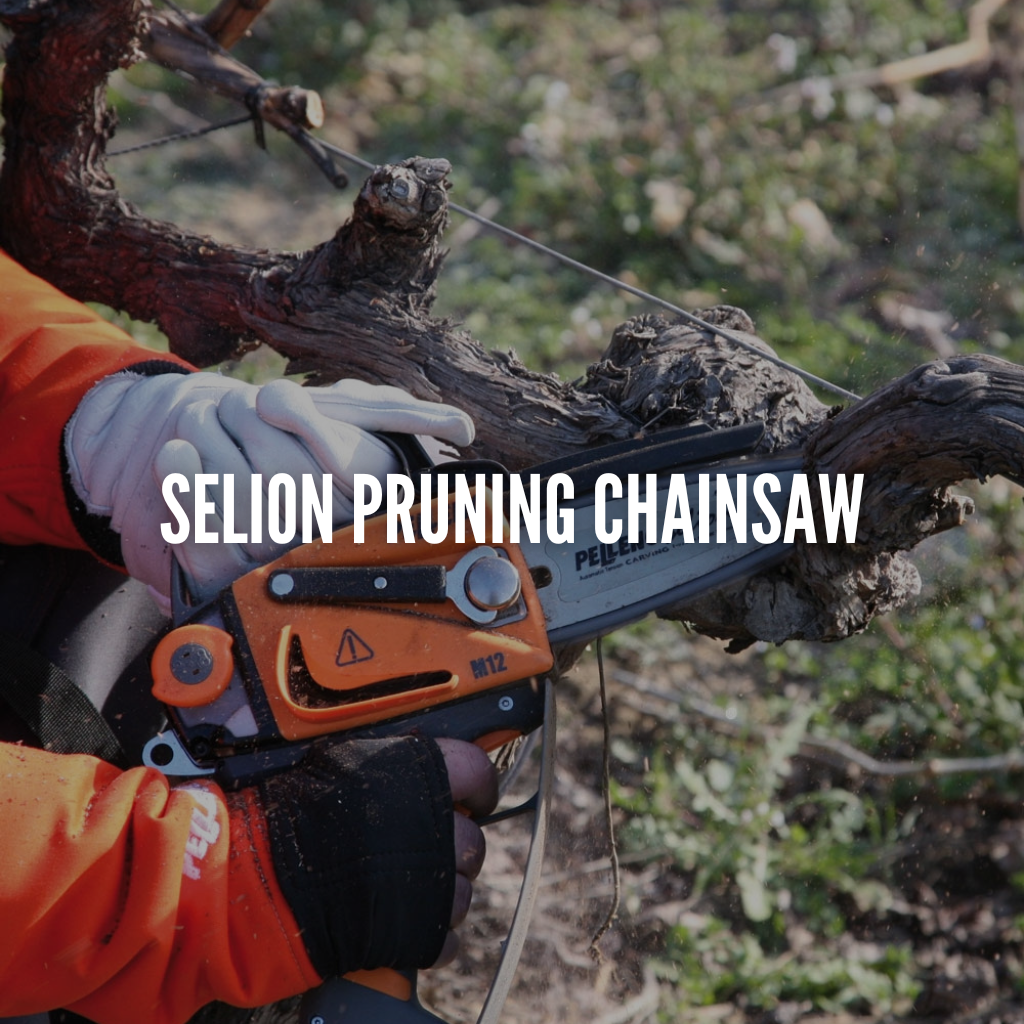 Selion Pruning Chainsaw